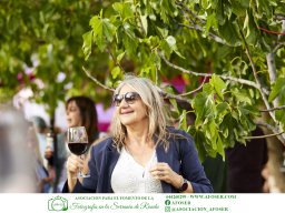 Festival Mar de Tethys 2026 - Bodega Vetas